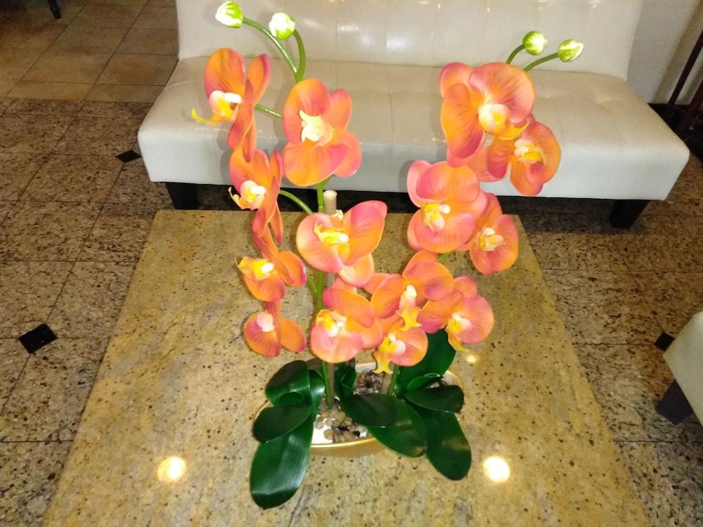 Athens Hotel & Suites Houston Bagian luar foto